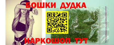 мдпв Гусев