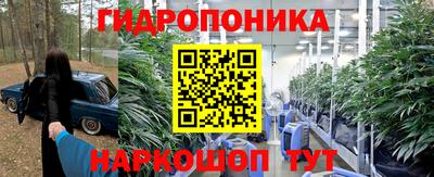 дмт Гусь-Хрустальный