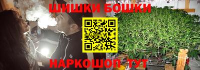 мдпв Гусев
