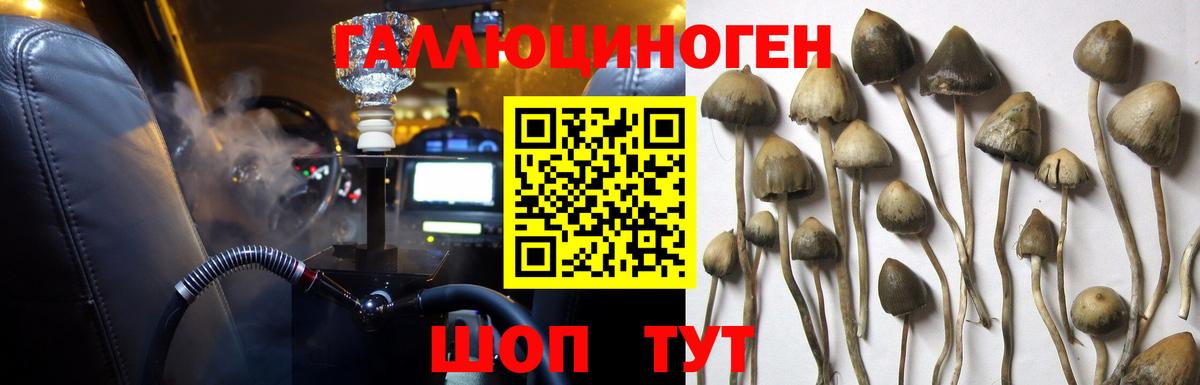 Псилоцибиновые грибы Magic Shrooms Магнитогорск